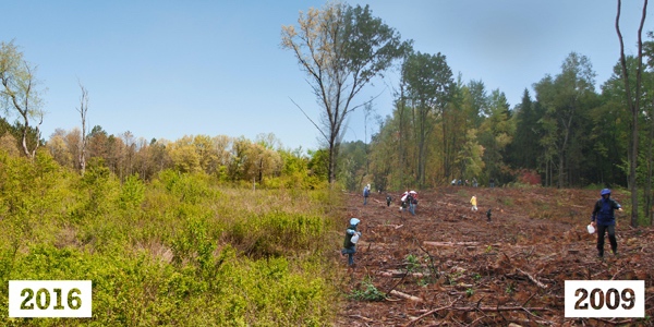 Changes at Wege Natural Area